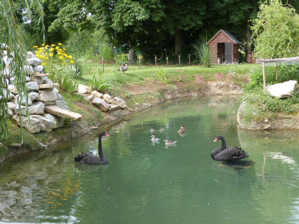 Le Bocard Villa Thonnance-les-Joinville ภายนอก รูปภาพ